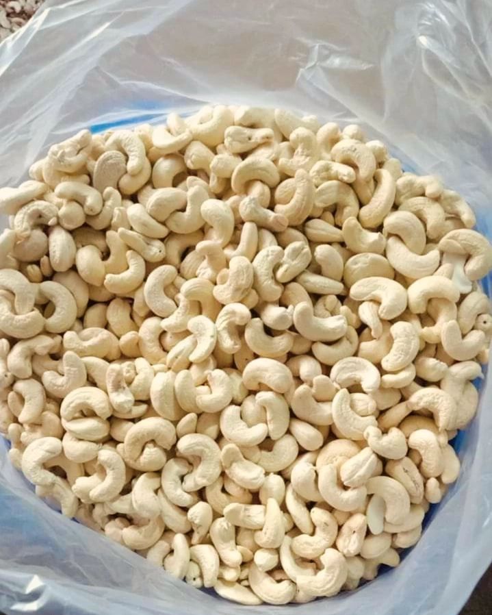 Cashew Nut Export – TOPNOTCH EXPORTS LIMITED